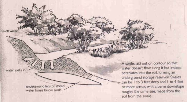 Diagram of a swale, text on image reads: A swale, laid out on contour so that water doesn't flow along it but instead percolates into the soil, forming an underground storage reservoir. Swales can be 1 to 3 feet deep and 1 to 4 feet or more across, with a berm downslope roughly the same size, made from the soil from swale. Arrow points to "underground lens of stored water forms below swale" and another arrow points to "water soaks in"