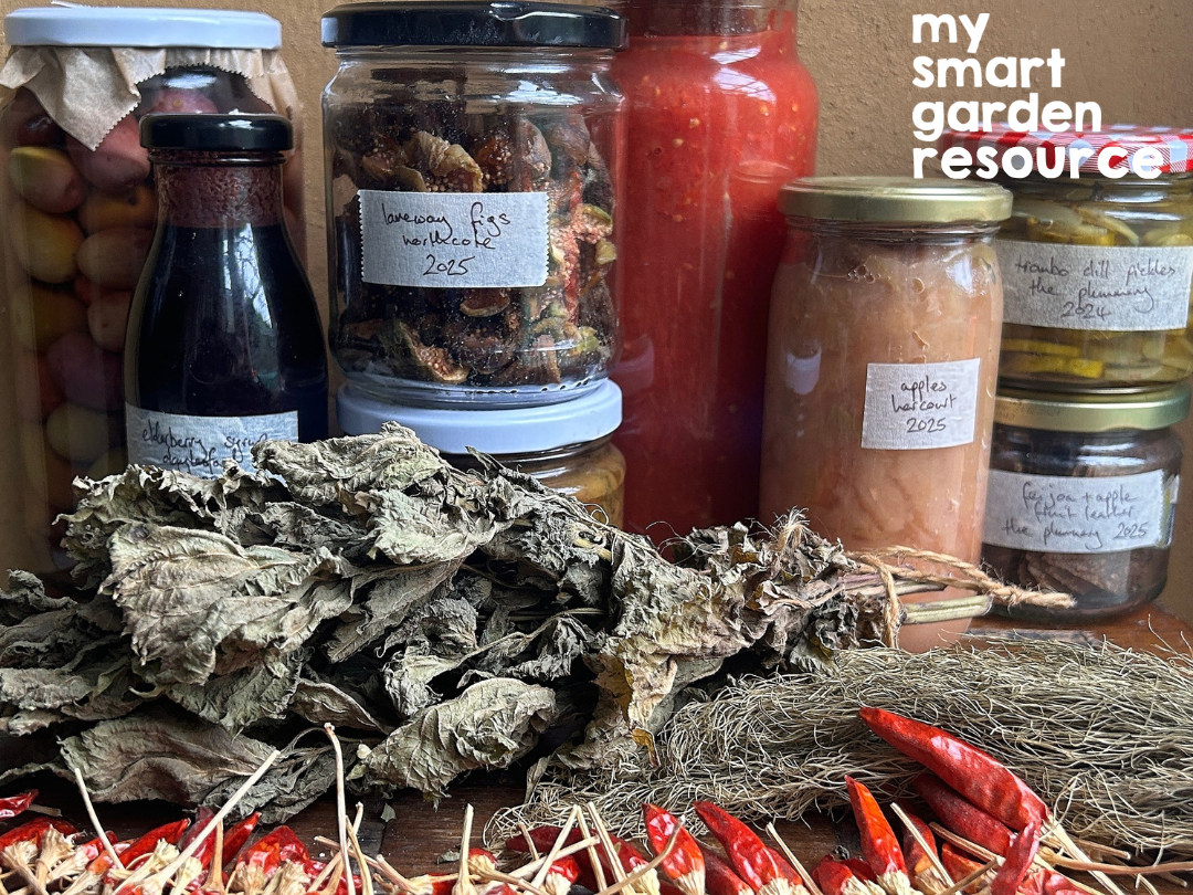 Stacked jars of preserved foods including dried figs, tomato puree and bottled fruit.